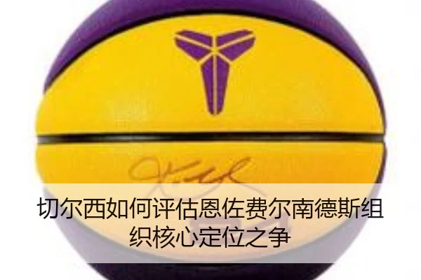 切尔西如何评估恩佐费尔南德斯组织核心定位之争