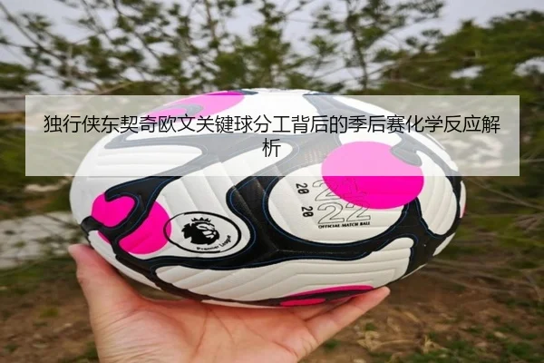 独行侠东契奇欧文关键球分工背后的季后赛化学反应解析