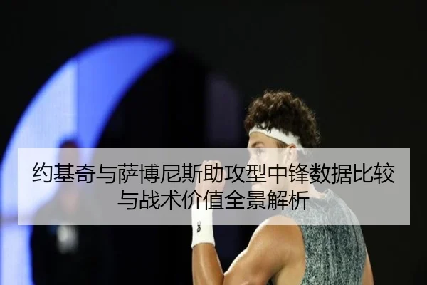 约基奇与萨博尼斯助攻型中锋数据比较与战术价值全景解析